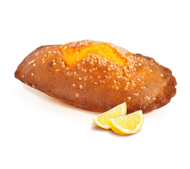 Madeleine géante citron 350g