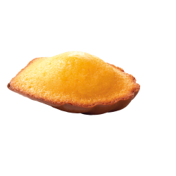 Madeleines nappées chocolat format familial (x48) 1200g - St Michel